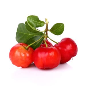 barbados cherry, malpighia emarginata, family malpighiaceae